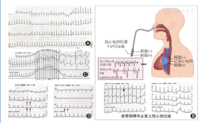 1765417855524488.png image.png