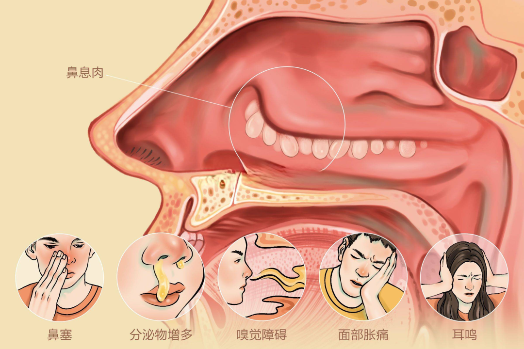 微信图片_2026-08-19_111353_004.png