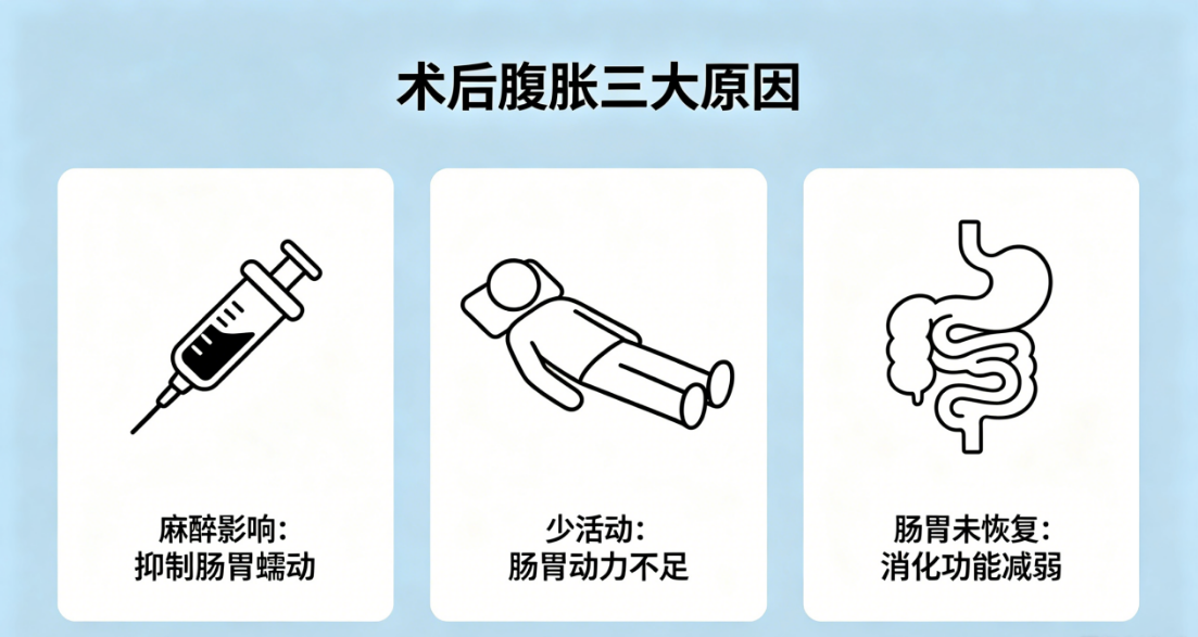 1787109858704910.png 微信图片_2026-08-19_112419_524.png