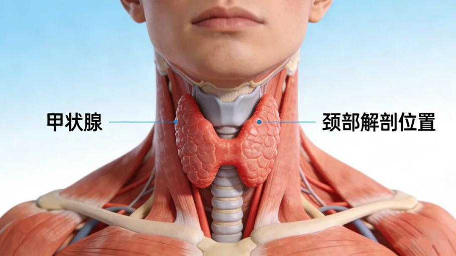 1787130641137820.png 微信图片_2026-08-19_171036_944.png