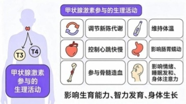 1787130647941827.png 微信图片_2026-08-19_171040_472.png