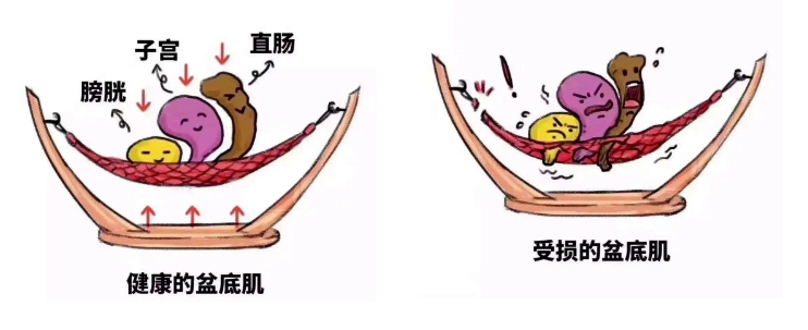 1787305002119653.png 微信图片_2026-08-21_173639_422.png