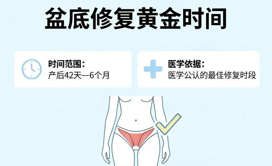 1787305016701203.jpg 微信图片_2026-08-21_173649_487.jpg