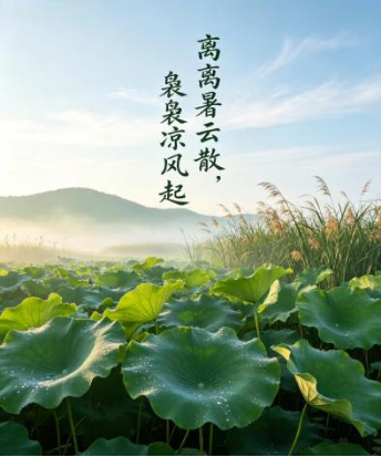 1787565058716489.png 微信图片_2026-08-24_175022_704.png
