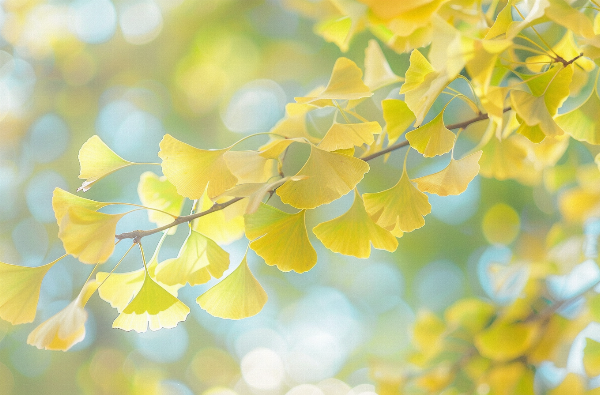 1787565123754844.png 微信图片_2026-08-24_175110_185.png